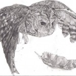 “Tawny Owl” by Shele Katryna Cox